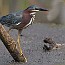 thumbs/IMG_0854.jpg